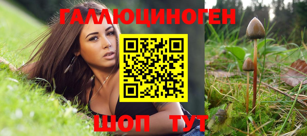 Донецк  Галлюциногенные грибы Psilocybe  Вход с VPN 